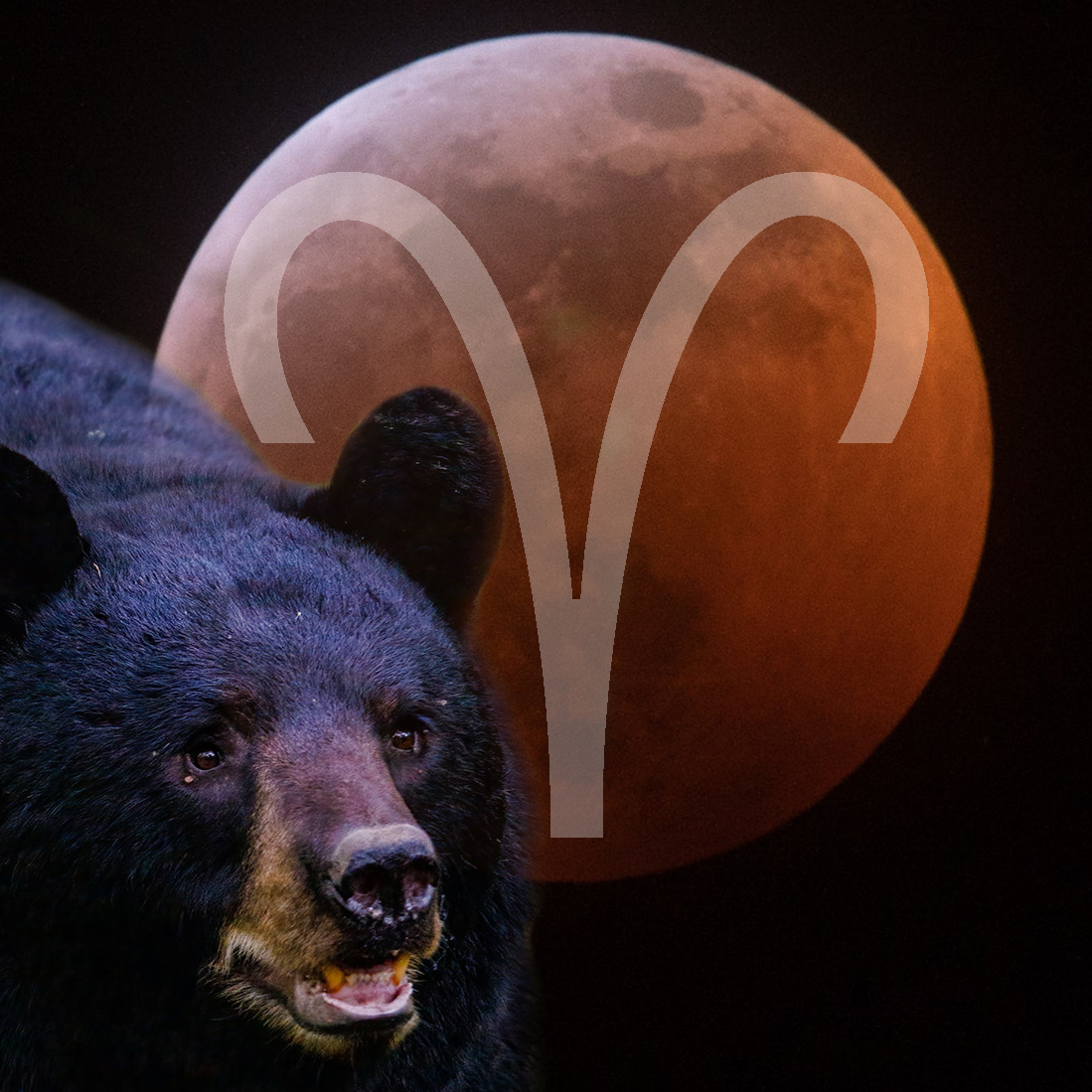 Welcome to the Hunters’ or Travellers’ Moon full moon in Aries 