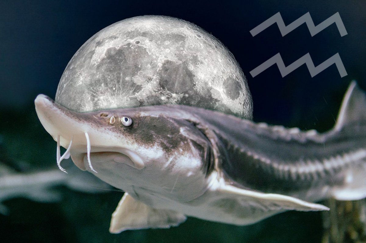 Happy Aquarian full moon 