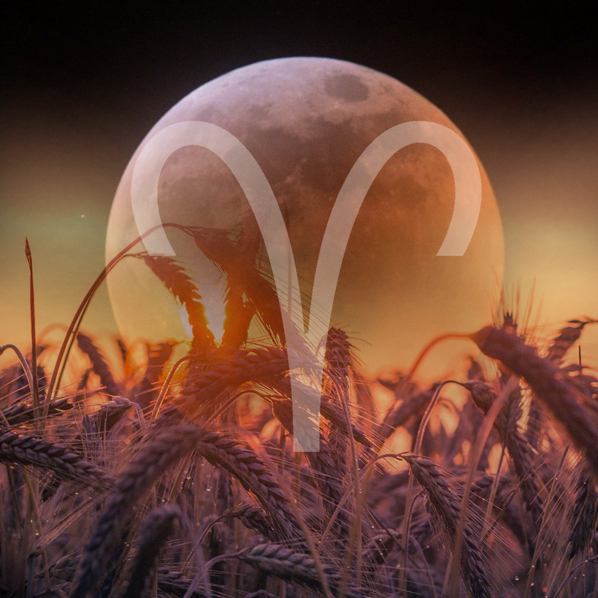 Welcome to the full moon in Aries 