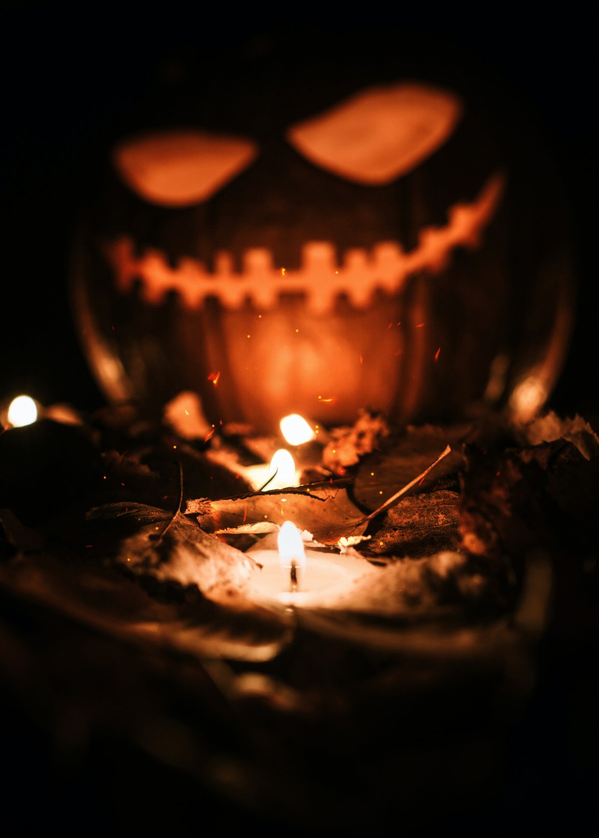  Welcome to the approaching Time of the Ancestors, celebrated in both northern and southern hemispheres as Halloween 