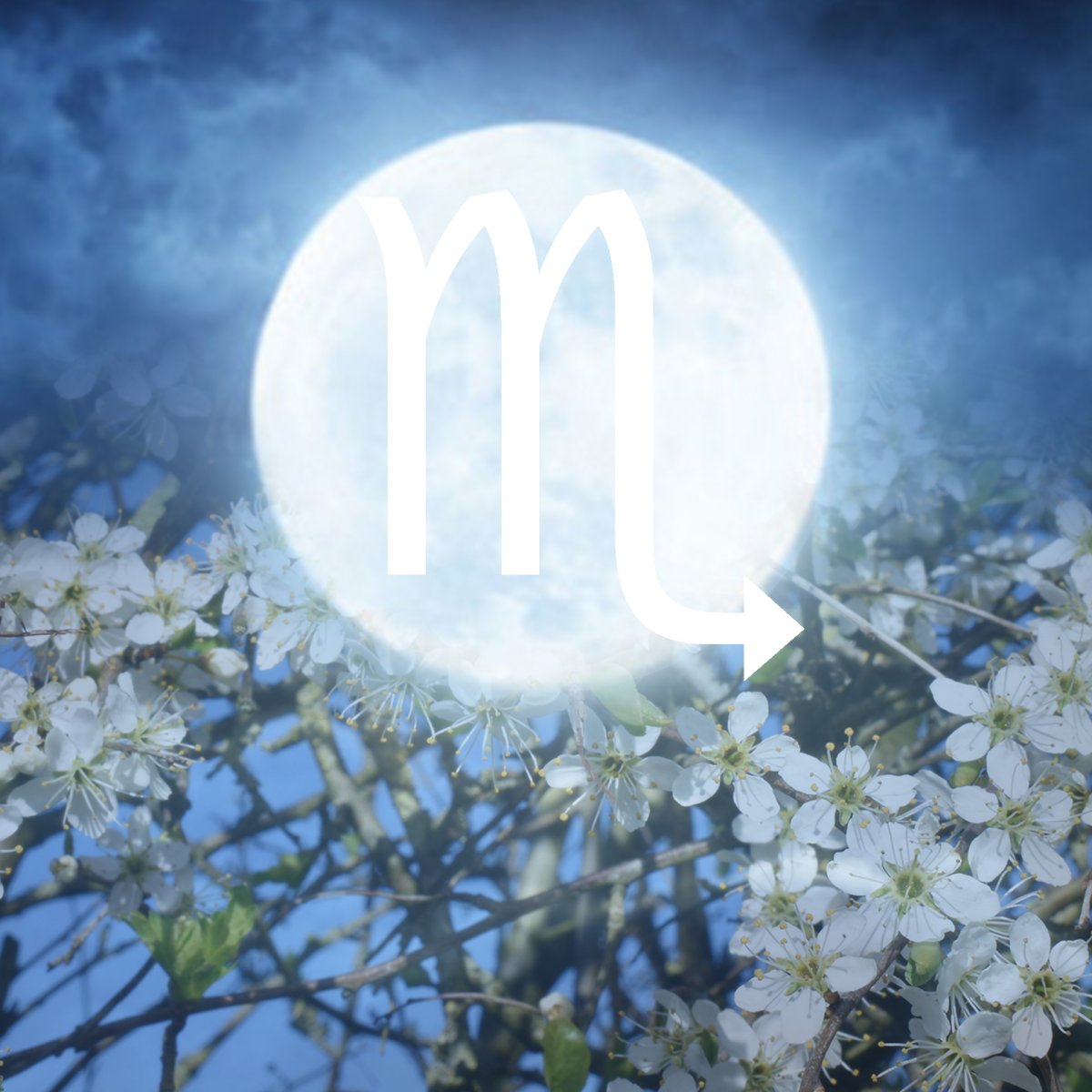 Welcome to the Full Flower Moon in Scorpio 