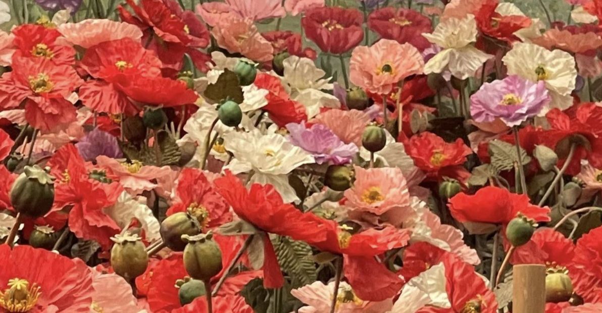 Happy Full Flower moon in Scorpio 